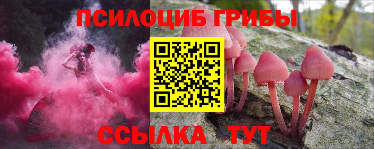 Псилоцибиновые грибы мухоморы  Вход с VPN  даркнет сайт  Кемерово 